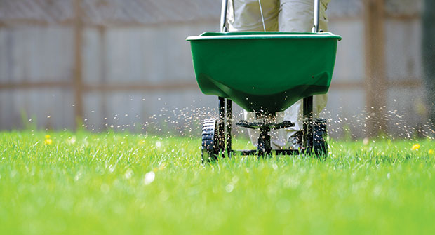 Photo: Koch Turf & Ornamental