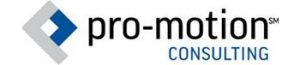 Pro-Motion consulting