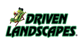 Logo: Driven Landscapes