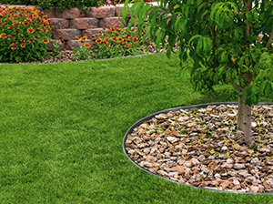 Photos: Coyote Landscape Products