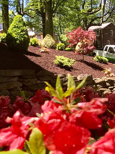 Photo: Dream Greener Lawn & Landscape