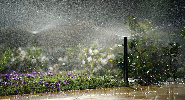 Photo: Rain Bird