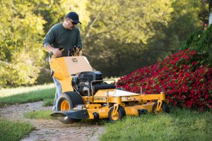 Photo: Cub Cadet