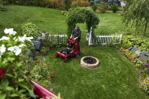 Toro