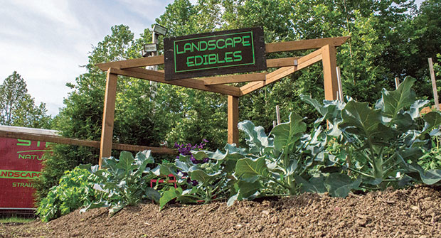 Photos: Strauser Nature’s Helpers