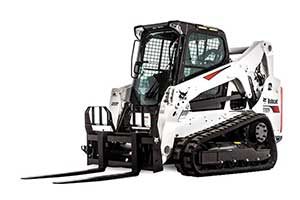 Bobcat
