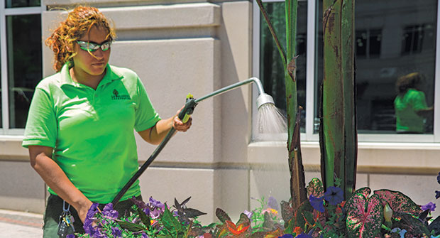 Photo: Level Green Landscaping