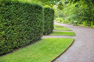 Photo: Coyote Landscape Products