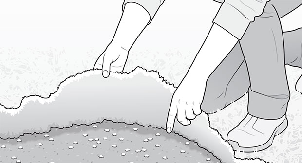 illustrations: David Preiss