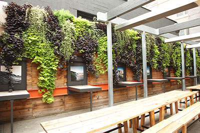 Photo: Livewall