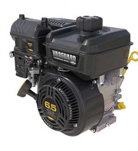 Briggs & Stratton
