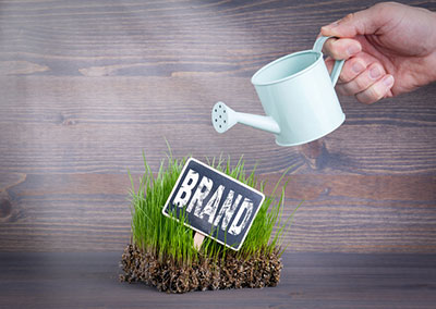 Photo: iStock.com/tumsasedgars