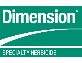 Dimension herbicide