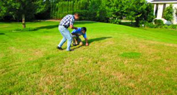 Photo: Syngenta