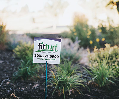Photo: Fit Turf/Jackie Batch