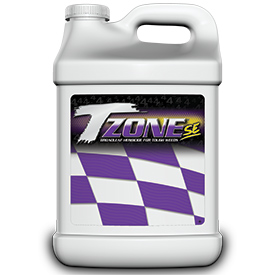 TZone