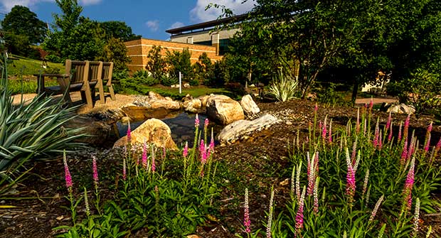 pond with landscape. Photo: Matrix Productions
