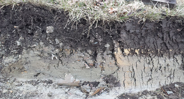 soil with well-defined horizons. Photo: John Palmer
