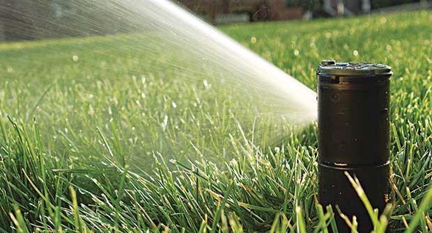 irrigation rotor. Photo: Rain Bird