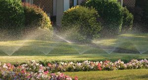 home irrigation. Photo: iStock.com/bradwieland