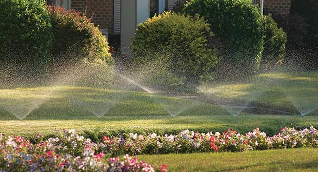 home irrigation. Photo: iStock.com/bradwieland
