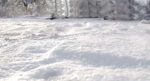 snow. Photo: iStock.com/KajaNi
