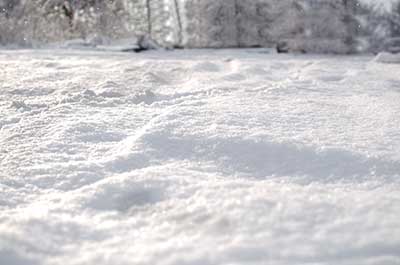 snow. Photo: iStock.com/KajaNi