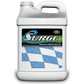 Surge