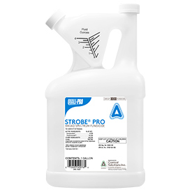 Strobe Pro