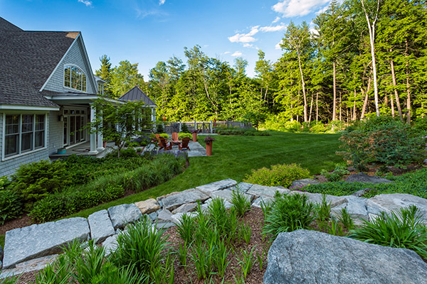 After shot of backyard