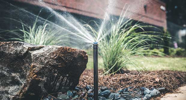 sprayhead. Photo: SiteOne