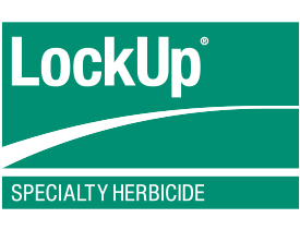 LockUp