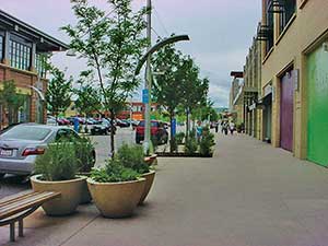 Landscape project by Schultz