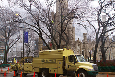 Bartlett Tree Experts staff at work