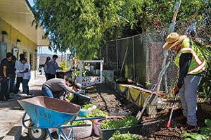 K&D Landscaping crews working