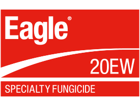 Eagle 20EW