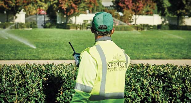 Crew member and sprinklers. Photo: Serpico Landscaping