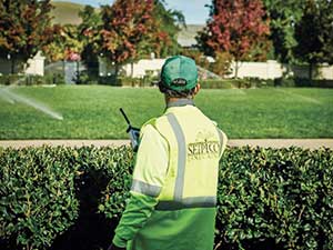 Man and sprinklers