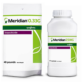 Meridian