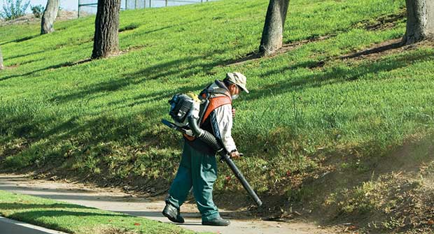 Man using backpack blower. Photo: iStock.com/MCCAIG
