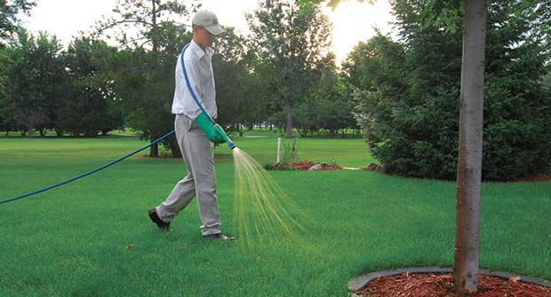 Man spraying fungicide