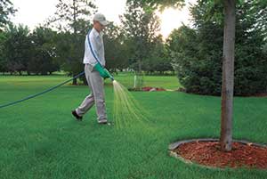 Man spraying fungicide