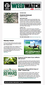 landscape management
