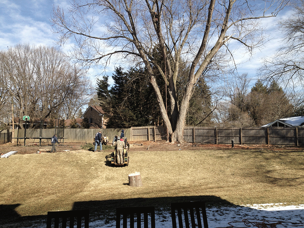 Bethesda Family Resort before backyard (Photo: Hilary Schwab)