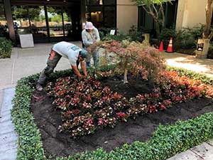 Bianco Landscape Management crews working