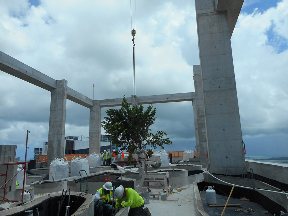 Brickell project under construction (Photo: ArquitectonicaGEO)
