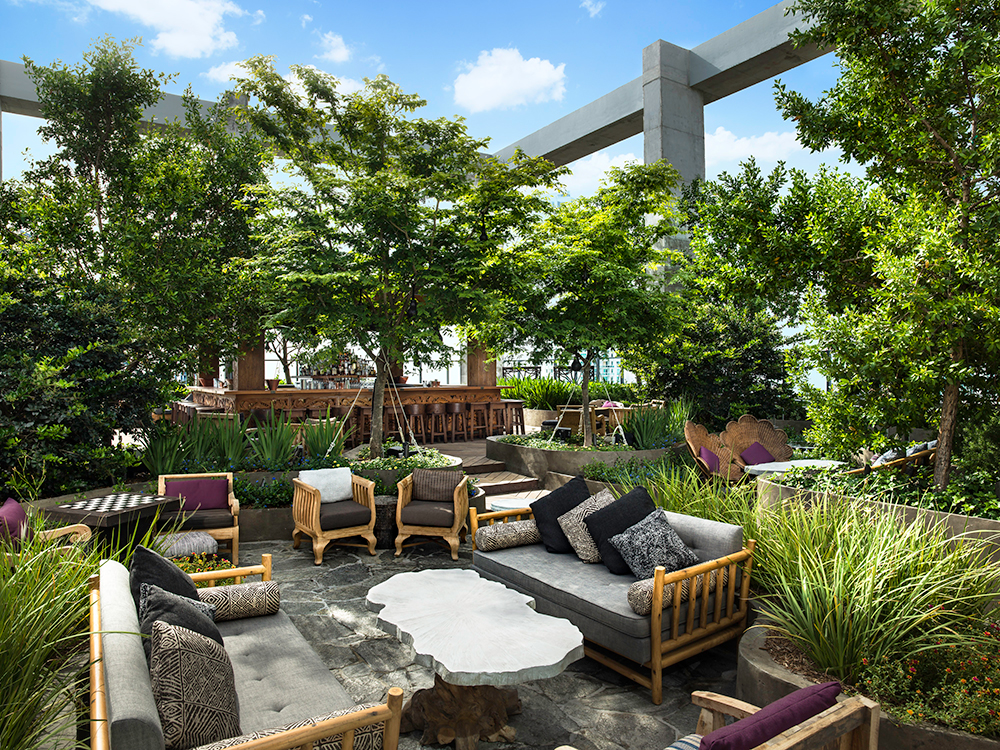 Foliage at Sugar bar (Photo: ArquitectonicaGEO)