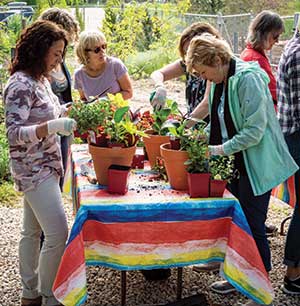 Potting partygoers learn about creating attractive containers. (Photo: James Martin Associates)