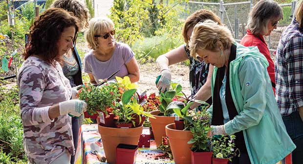 Potting partygoers learn about creating attractive containers. (Photo: James Martin Associates)