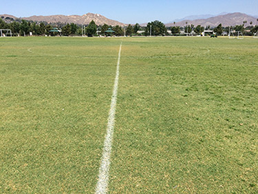 Bermudagrass in the early stages coming out of dormancy. The grass on the left was treated with Kerb, which has removed the unsightly clumps of Poa annua. The Bermudagrass is now able to green up and grow uninhibited from the competition of Poa annua clumps and sporadic growth that is occurring on the right of the Kerb treated area. The left side was treated with Kerb on Nov. 20, 2017 and the photo was taken six months after the application. (Photo: Gil Del Rosario, Corteva Agriscience™, Agriculture Division of Dow DuPont)